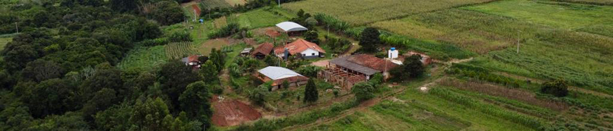 cabealho